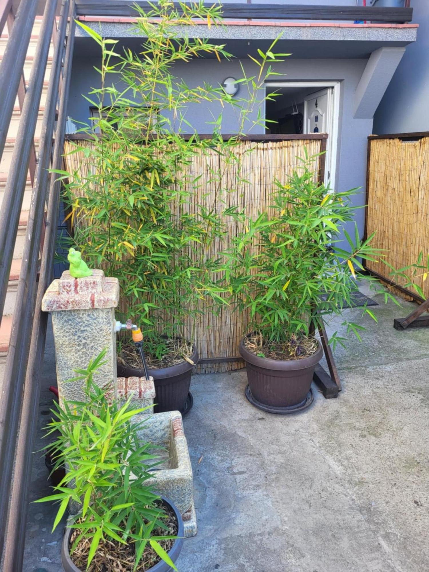 Apartman Djokic 2 Pozarevac Exterior photo